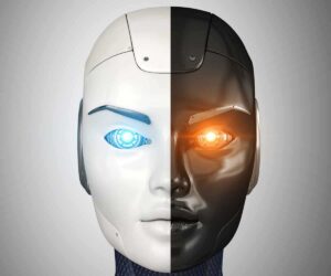 duality 2024 11 25 23 31 20 utc
