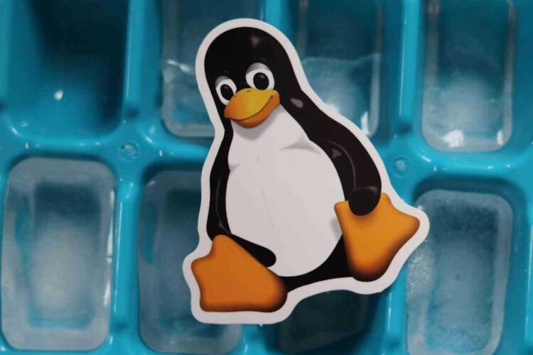 Linux kernel ranjivost otkrivena uz pomoć ChatGPT: Utjecaj AI umjetne inteligencije na sigurnost